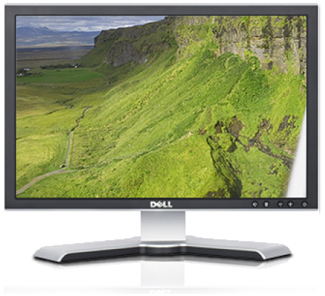 Dell 19